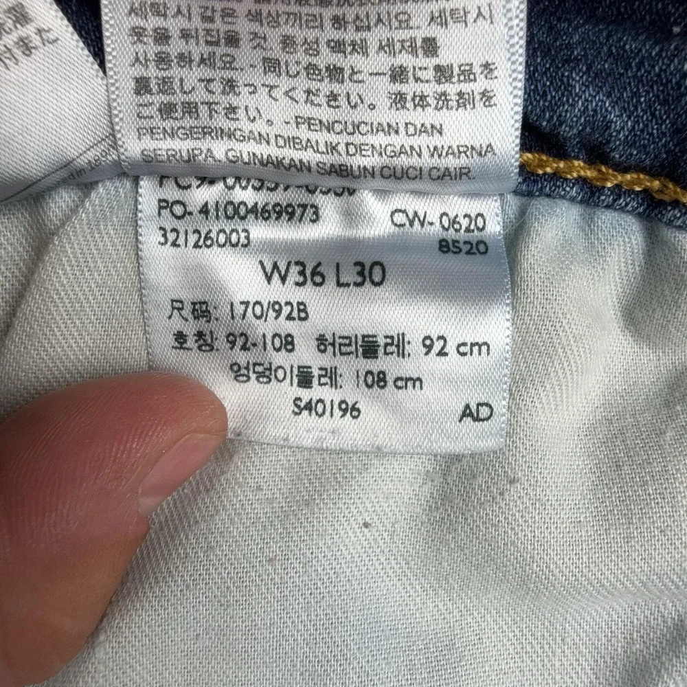 Levis levis 559